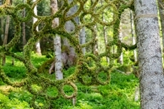 Land Art Pfad 2021, Bild Häusler Pape